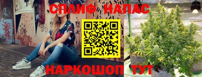 Альфа ПВП Нальчик