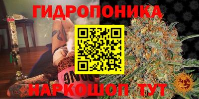 Альфа ПВП Нальчик