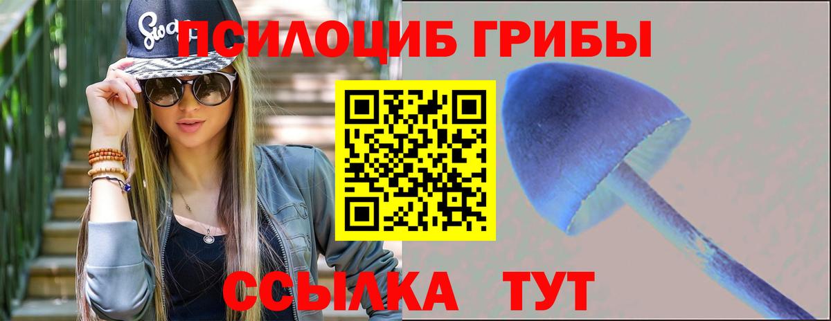 Галлюциногенные грибы мицелий Уссурийск